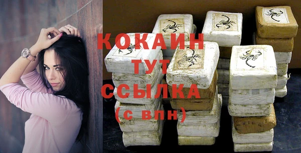 шишки Бабаево