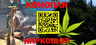 крисы Новодвинск
