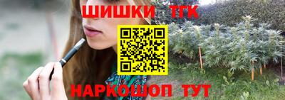 крисы Новодвинск