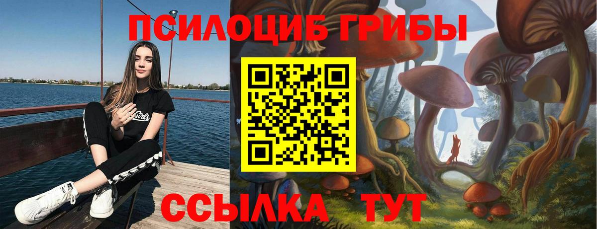 где продают наркотики  Вход с VPN  Псилоцибиновые грибы ЛСД  Миллерово  Галлюциногенные грибы Cubensis 